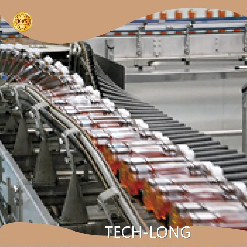 TECH-LONG Automated Conveyor Systems Manufacturers 1